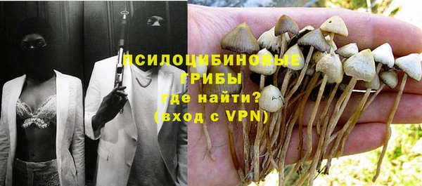 прущий лед Пестово
