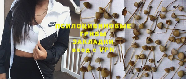 PSILOCYBIN Переславль-Залесский