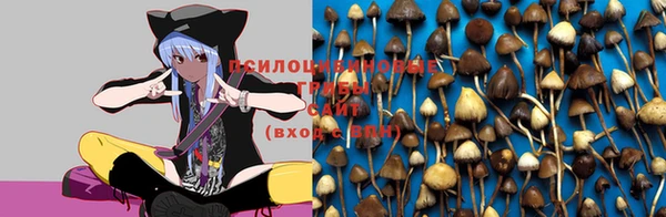 прущий лед Пестово