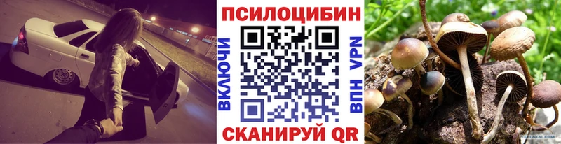 Псилоцибиновые грибы Magic Shrooms  наркота  Терек 