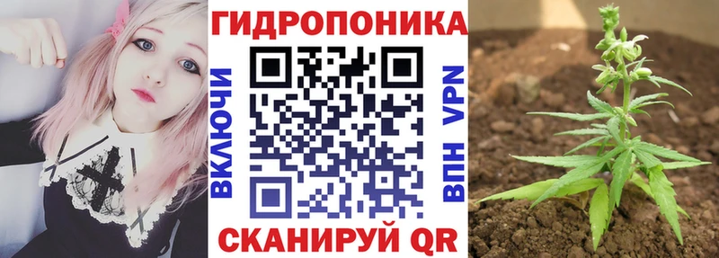 Шишки марихуана SATIVA & INDICA  Терек 